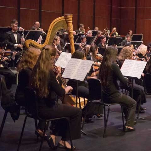 The Gainesville Orchestra will perform at EMMA Concert Association’s final concert for the season.